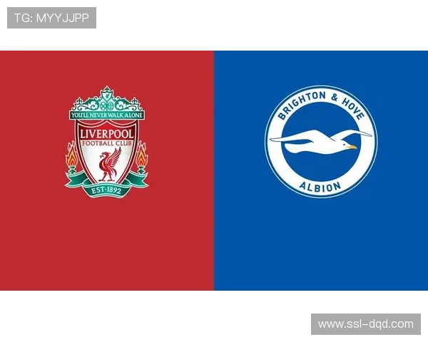 布莱顿迎战伯恩利，海鸥军团主场反弹势头明显